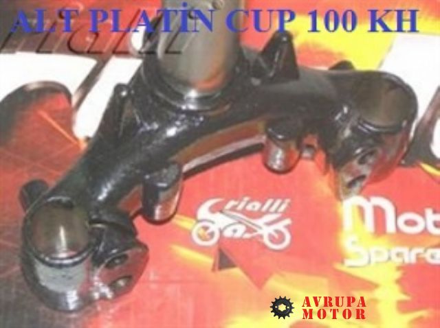 ALT PLATİN CUP 100 KH-C-R