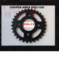 01-ARKA DİŞLİ CHOPPER 250 MCT-520-33T